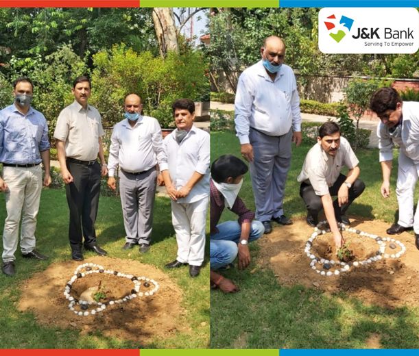J&K  Bank observes Van Mahotsav Week in Jammu