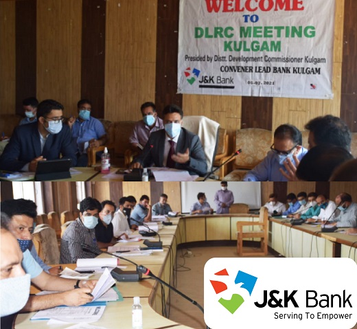 DDC Kulgam chairs DLRC meet