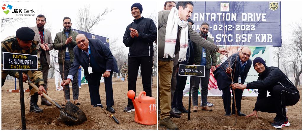 J&K Bank collaborates with BSF to undertake plantation drive Provi…