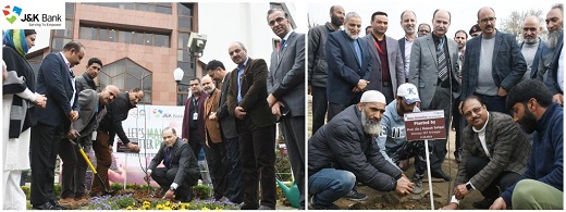 J&K Bank observes World Plantation Day