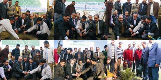 World Plantation Day : J&K Bank conducts plantation drive World Plantation Day : J&K Bank conducts plantation drive