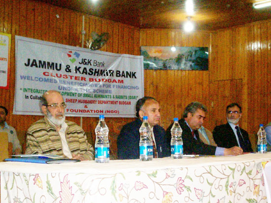 J&K Bank finances 60 sheep rearing units