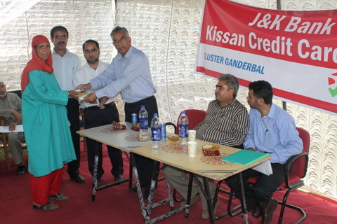 J&K Bank organizes KCC Mela. Ditributes 250 Kissan Credit Cards am…